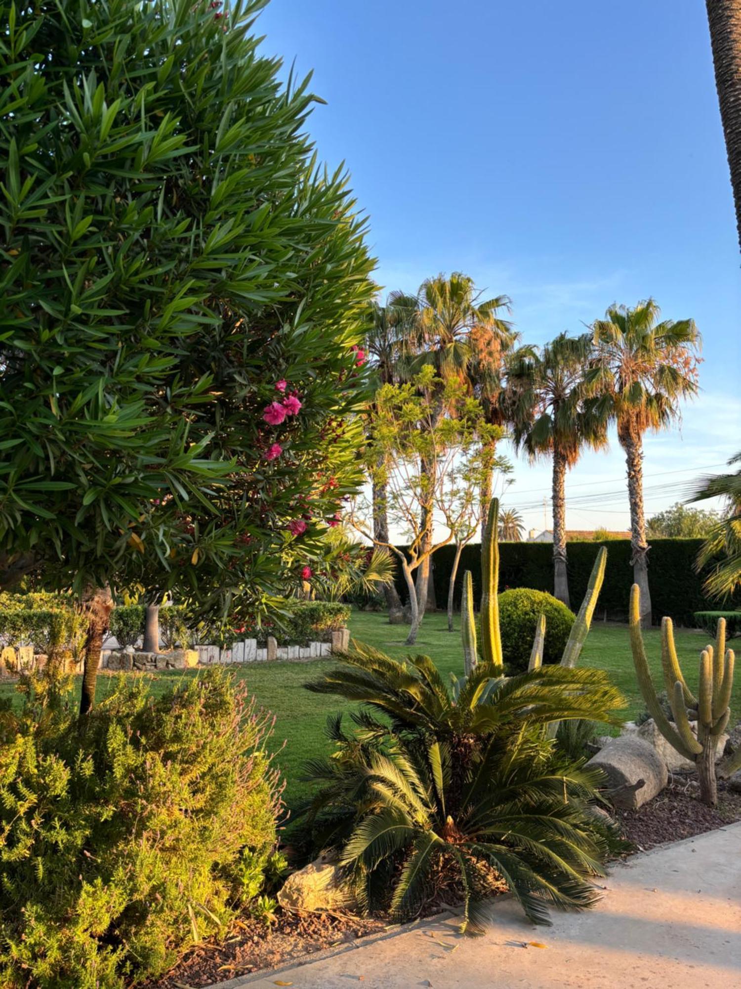 Casa Joan Elche