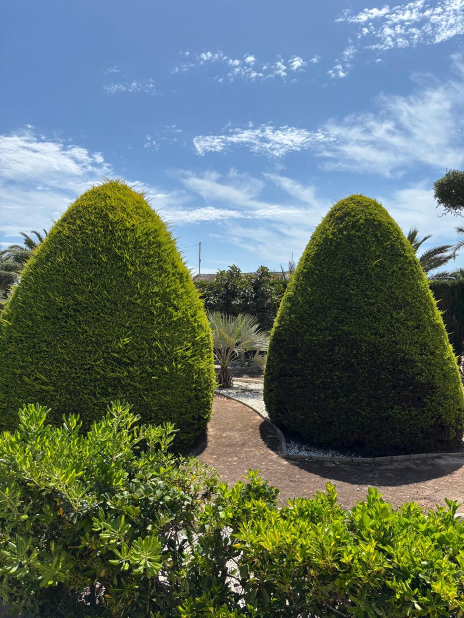Casa Joan Elche