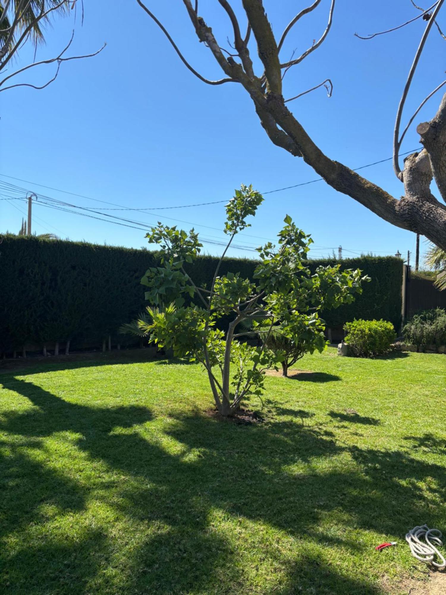 Casa Joan