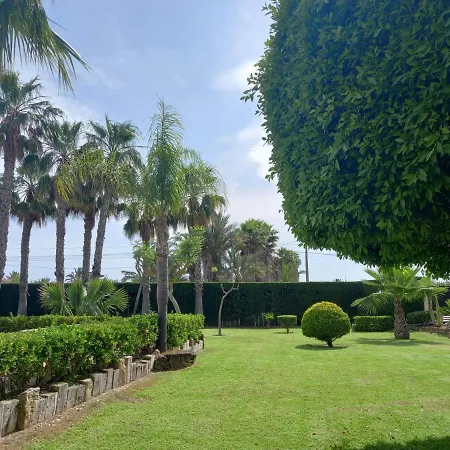 Casa Joan Villa Elche Exterior photo