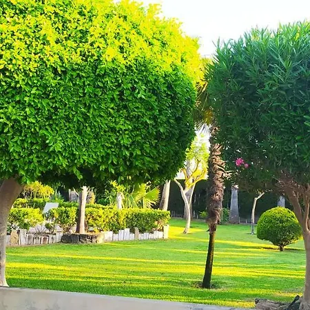 Casa Joan Villa Elche Exterior photo