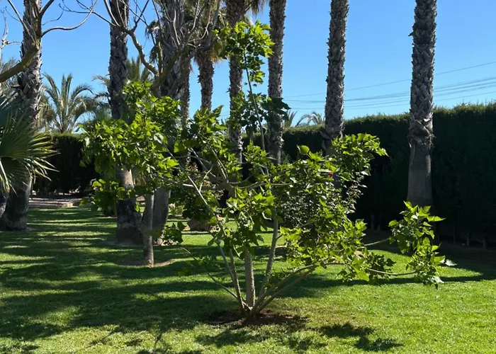Casa Joan