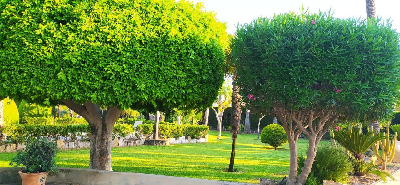 Casa Joan Holiday home Elche