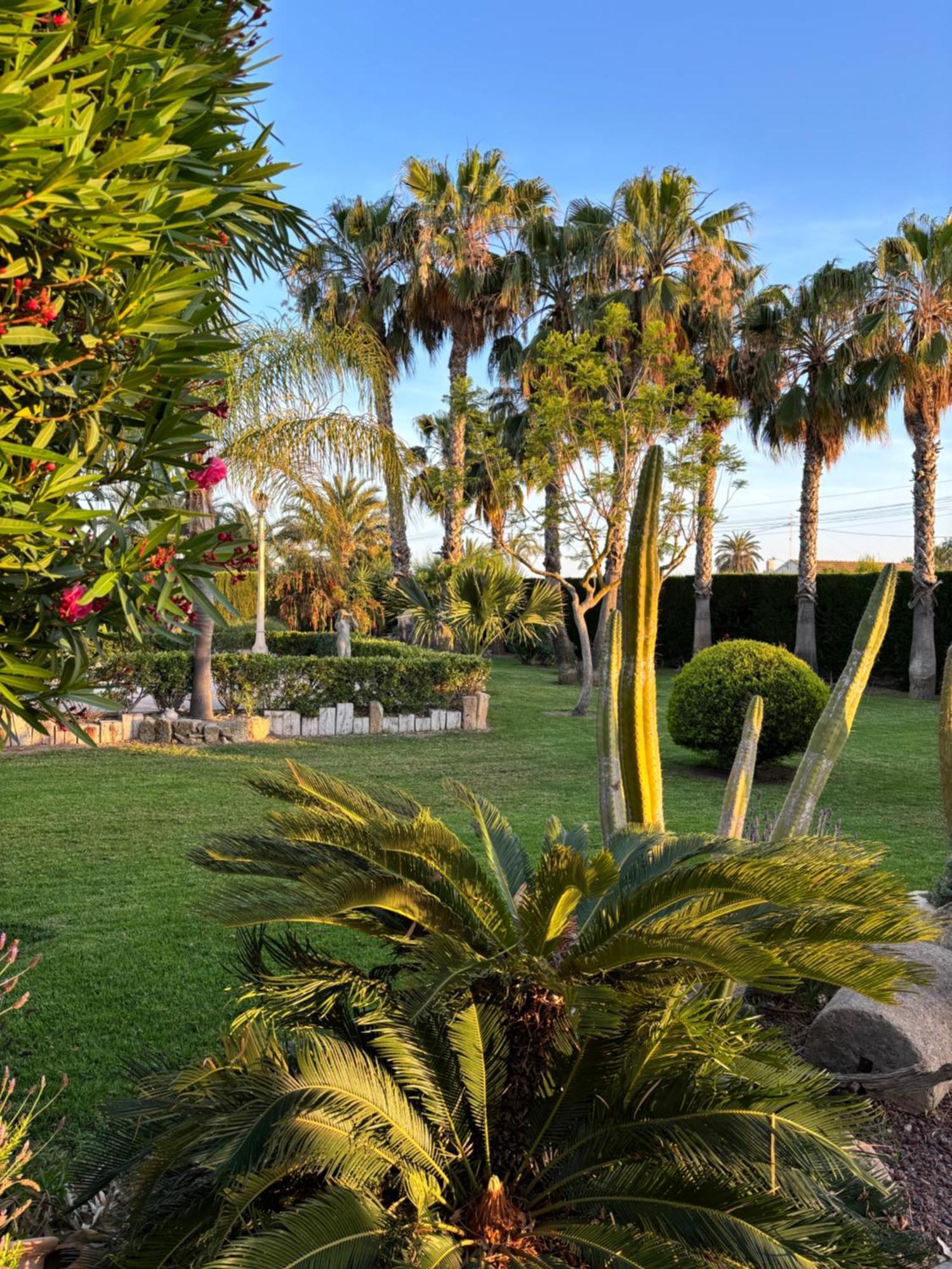 Casa Joan Elche