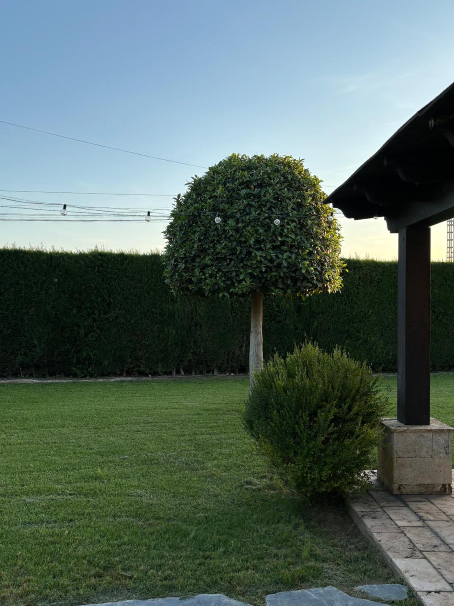 Holiday home Casa Joan *