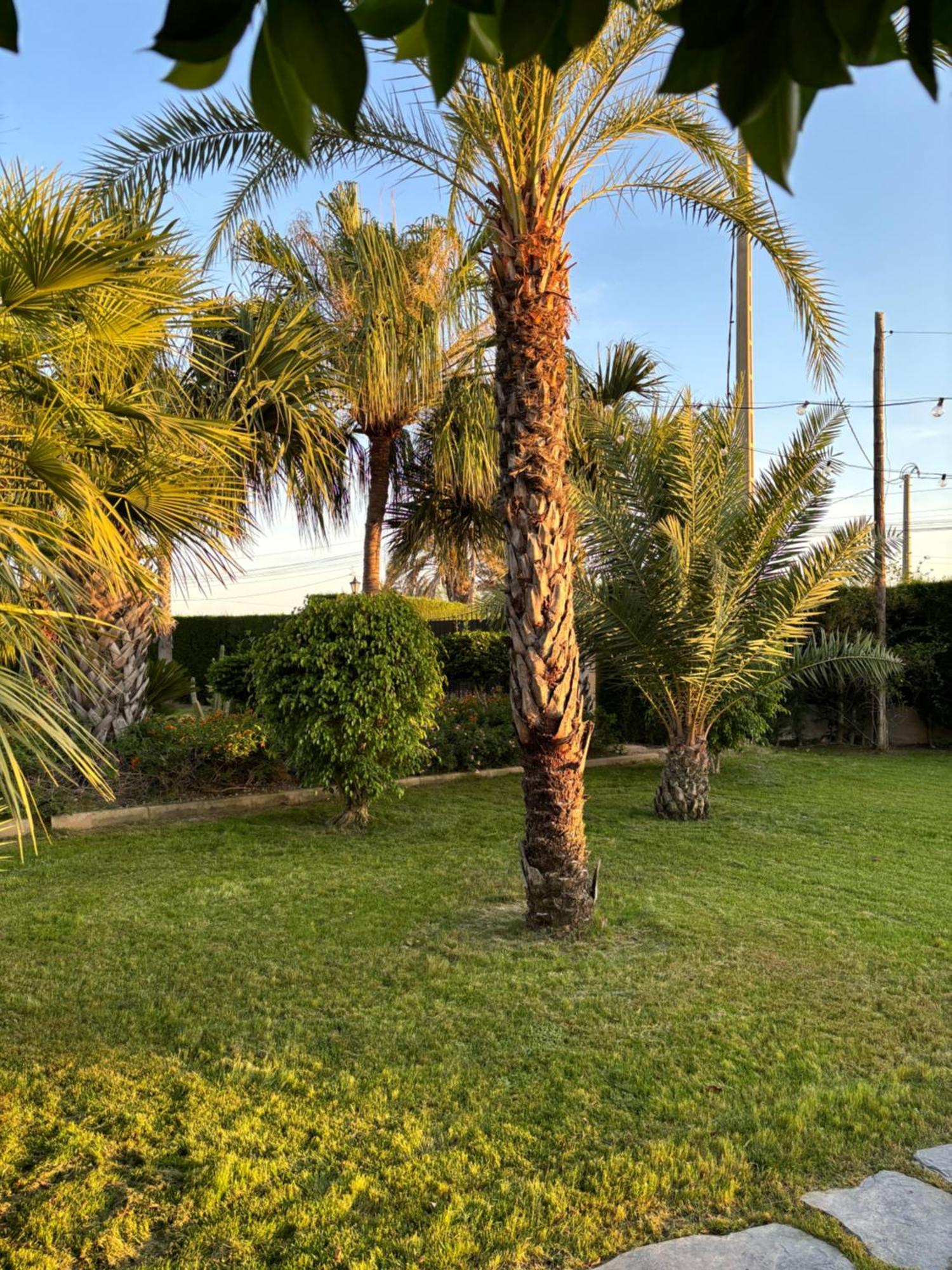 Holiday home Casa Joan Elche