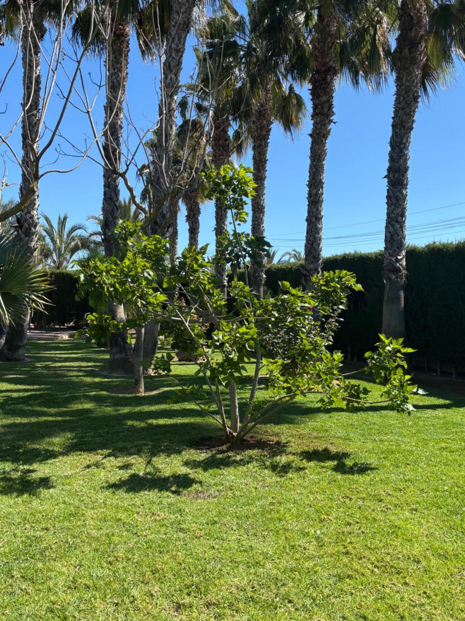 Holiday home Casa Joan *
