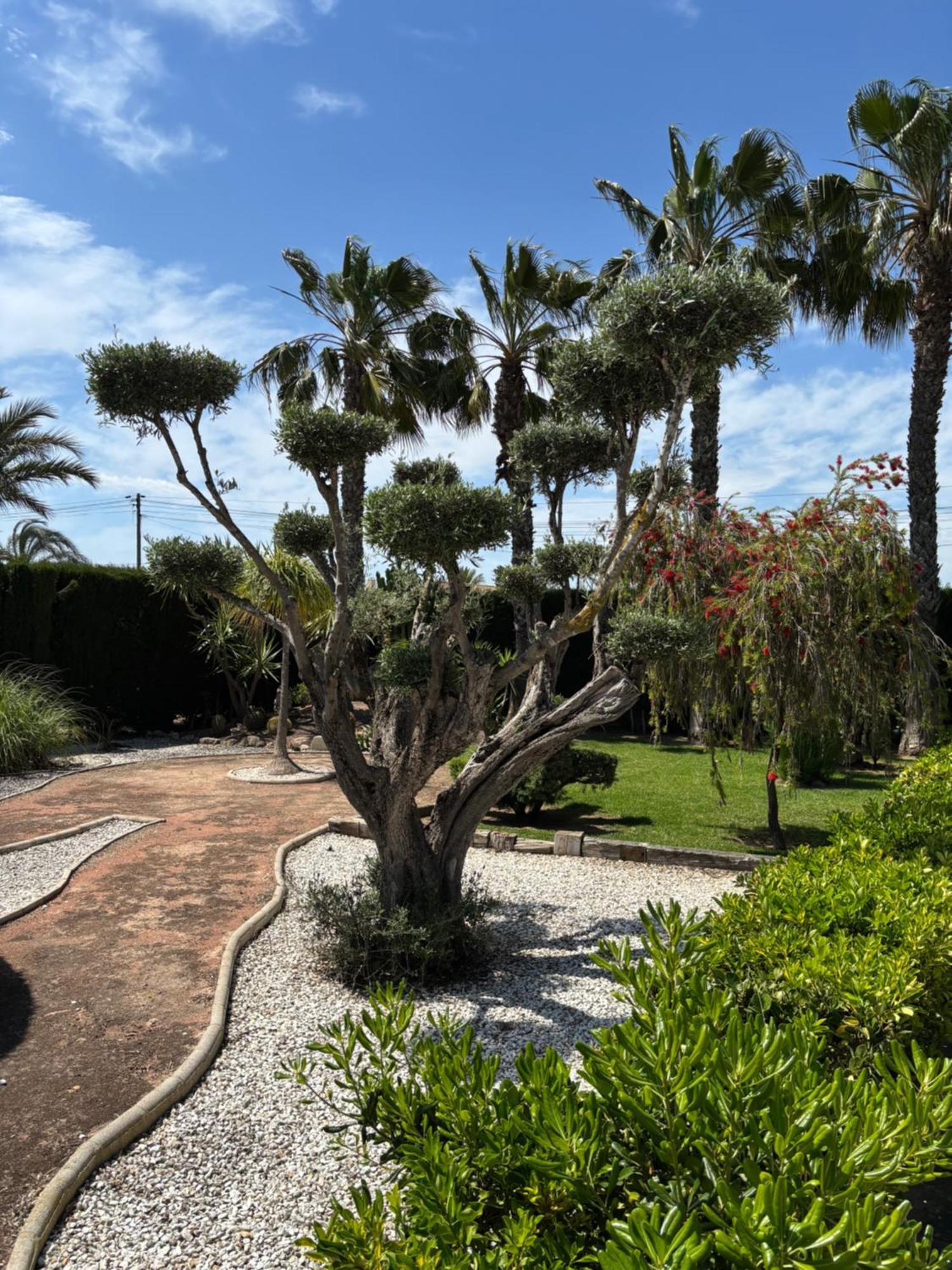 Casa Joan * Elche